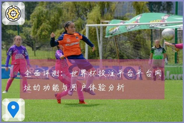 全面评测：世界杯投注平台平台网址的功能与用户体验分析