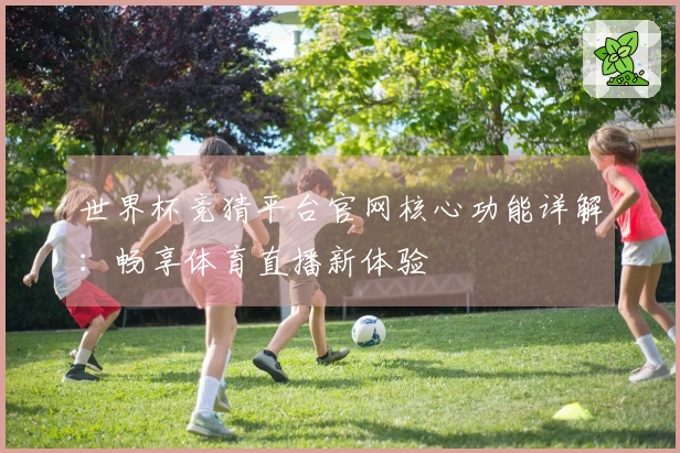 世界杯竞猜平台官网核心功能详解：畅享体育直播新体验