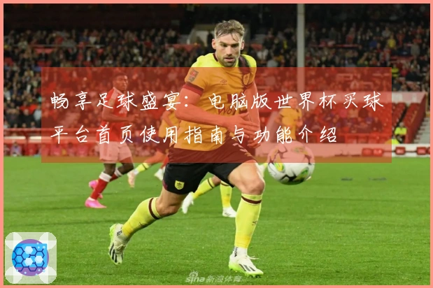 畅享足球盛宴：电脑版世界杯买球平台首页使用指南与功能介绍