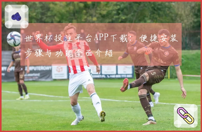 世界杯投注平台APP下载：便捷安装步骤与功能全面介绍