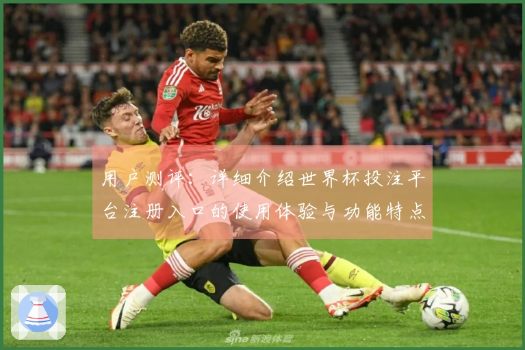 用户测评:详细介绍世界杯投注平台注册入口的使用体验与功能特点