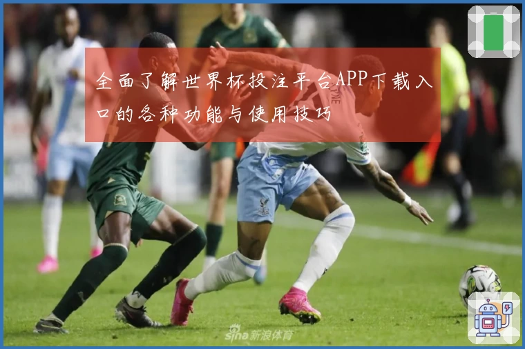 全面了解世界杯投注平台APP下载入口的各种功能与使用技巧