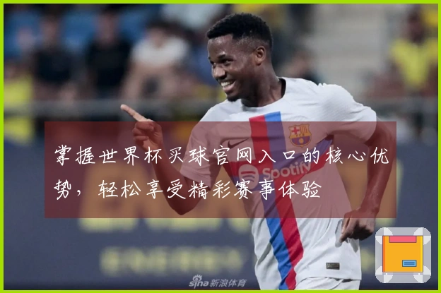 掌握世界杯买球官网入口的核心优势，轻松享受精彩赛事体验