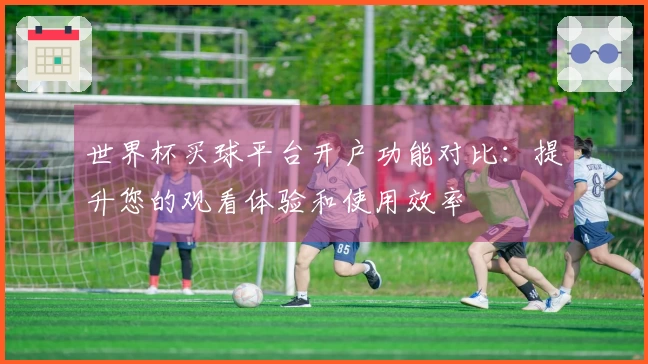 世界杯买球平台开户功能对比：提升您的观看体验和使用效率