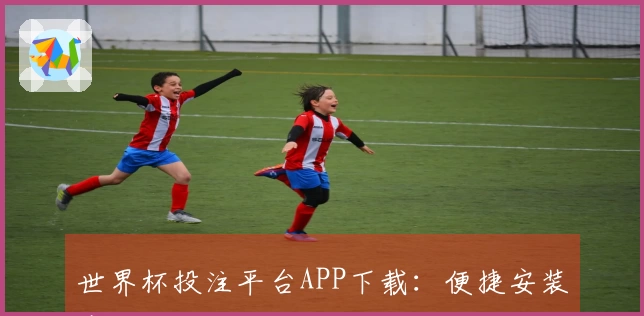 世界杯投注平台APP下载：便捷安装步骤与功能全面介绍