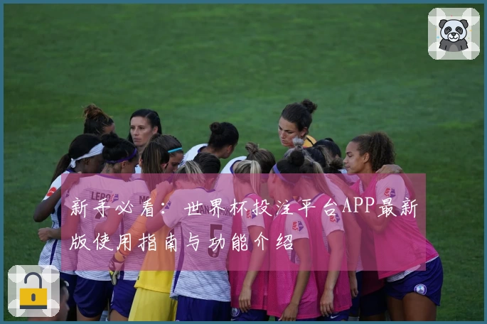 新手必看：世界杯投注平台APP最新版使用指南与功能介绍