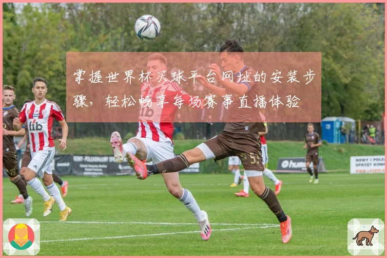 掌握世界杯买球平台网址的安装步骤，轻松畅享每场赛事直播体验