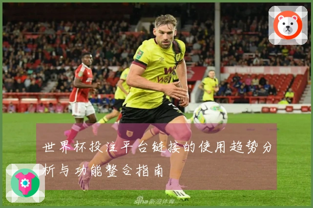 世界杯投注平台链接的使用趋势分析与功能整合指南