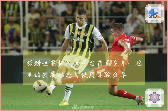 深耕世界杯投注平台首页多年，这里的发展动态与使用体验分享