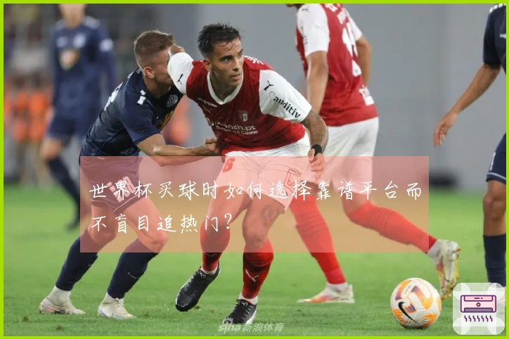 世界杯买球时如何选择靠谱平台而不盲目追热门?